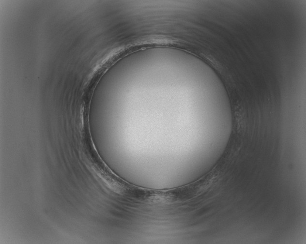 X0000076090350200610202115