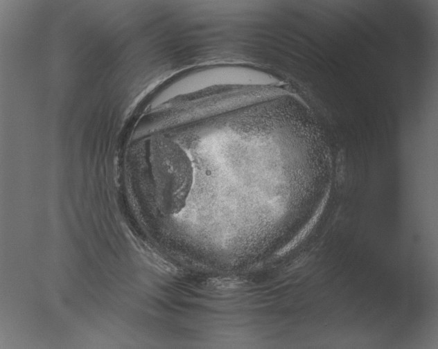 X0000076090351200610202115