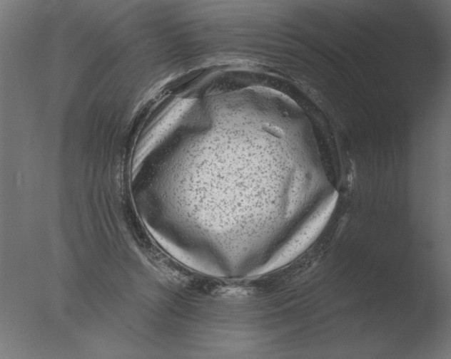 X0000076090352200610202115