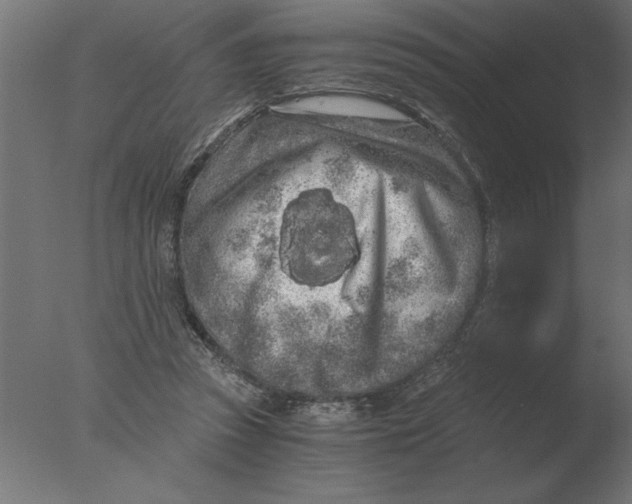 X0000076090353200610202115