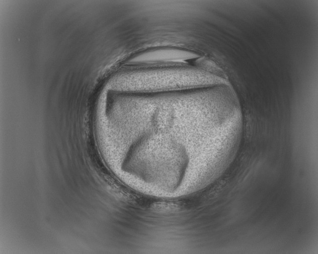 X0000076090354200610202115