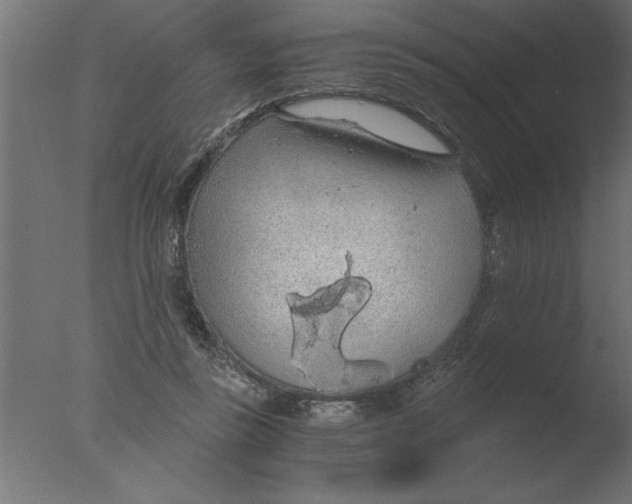 X0000076090355200610202115