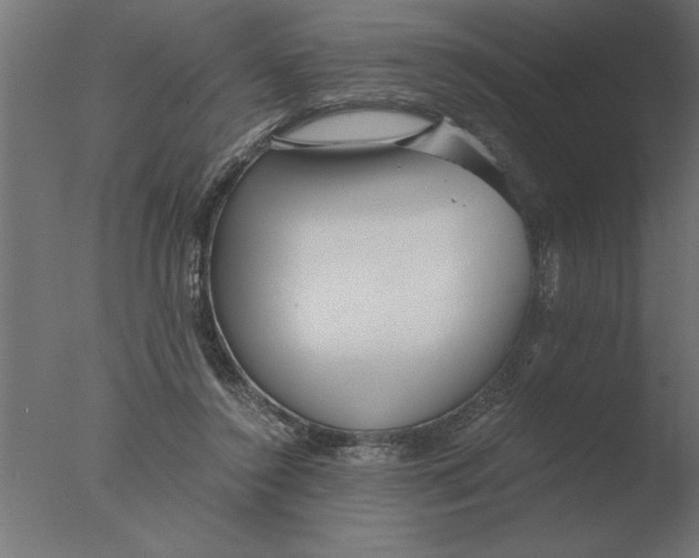 X0000076090356200610202115