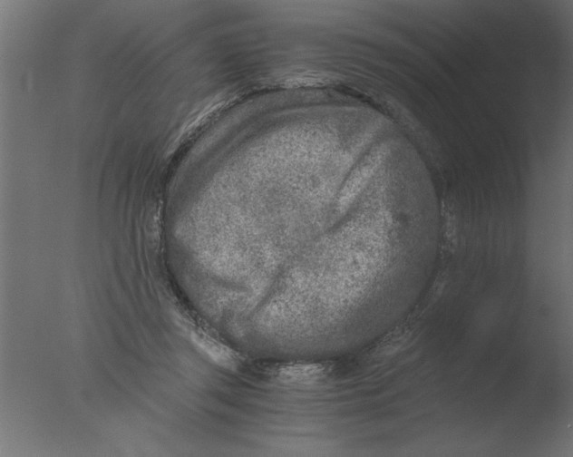 X0000076090357200610202115