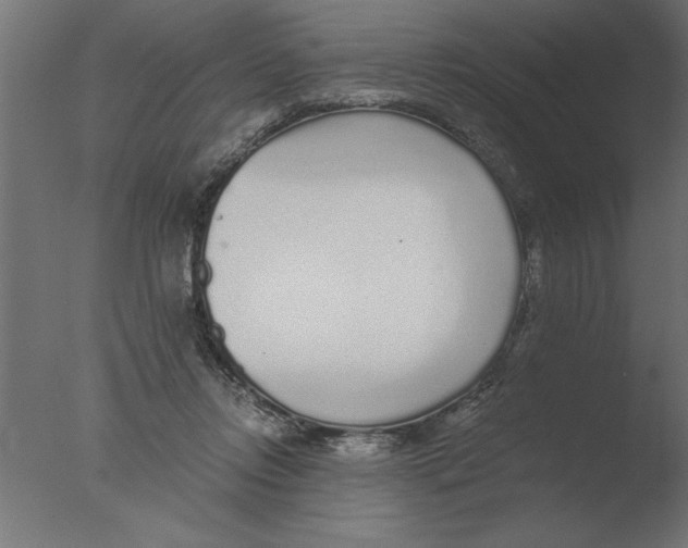 X0000076090358200610202115