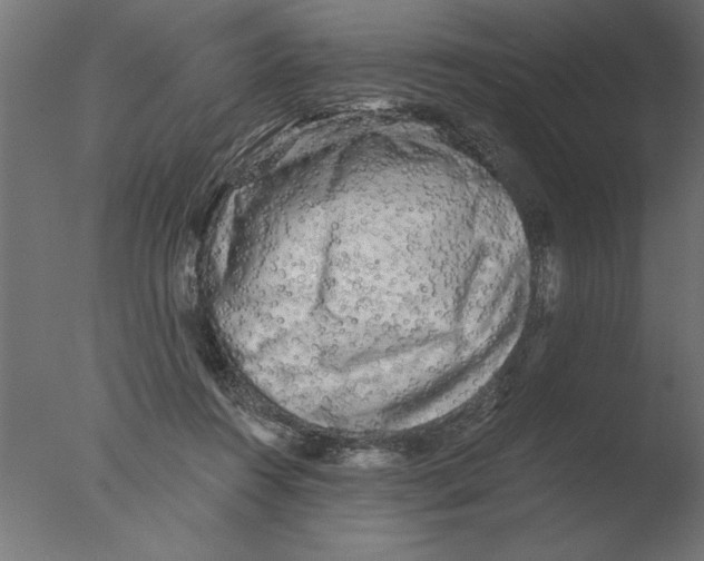 X0000076090360200610202115