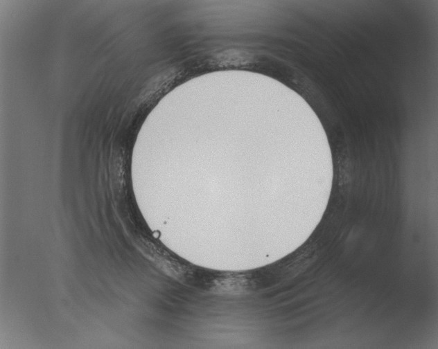 X0000076090362200610202115