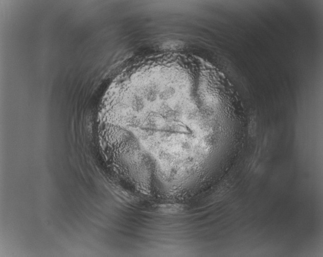 X0000076090363200610202115