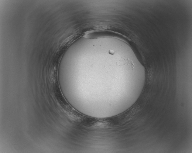 X0000076090364200610202115