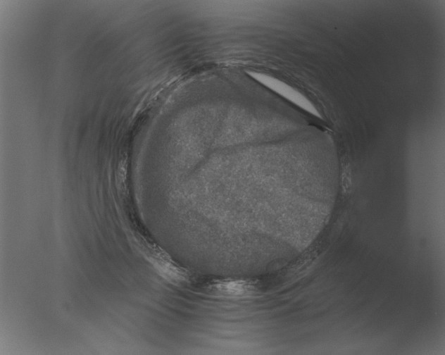 X0000076090365200610202115