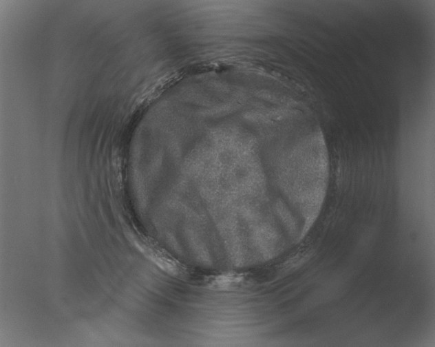 X0000076090366200610202115