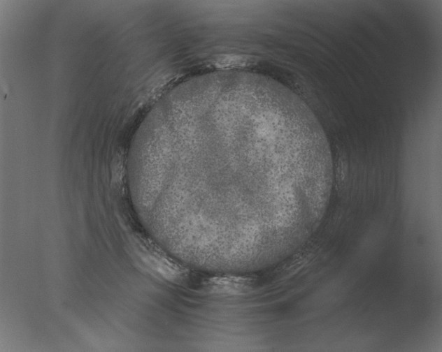 X0000076090367200610202115