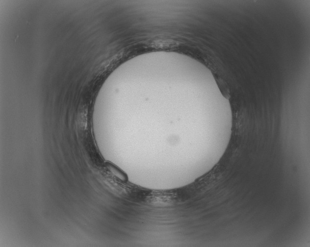 X0000076090368200610202115