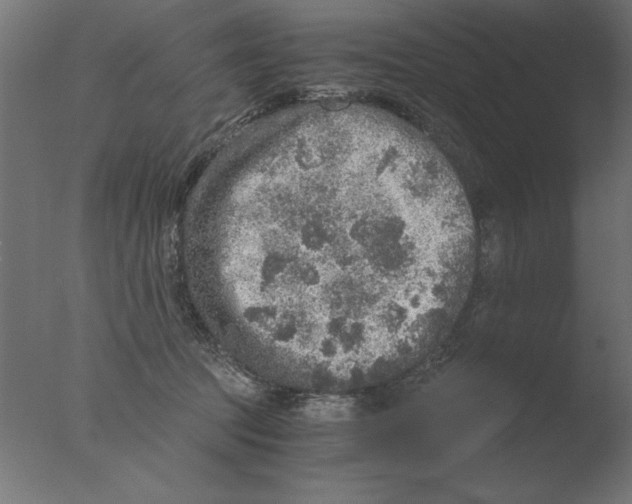 X0000076090369200610202115