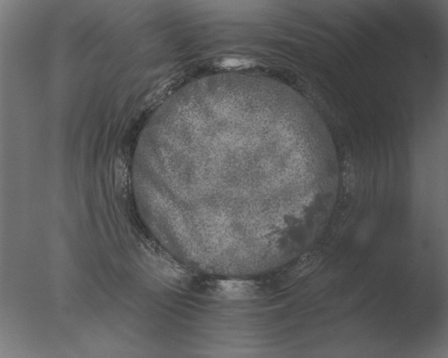 X0000076090371200610202115