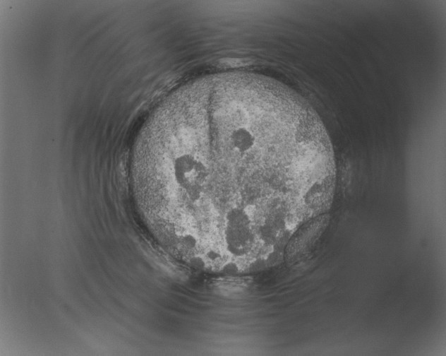 X0000076090373200610202115