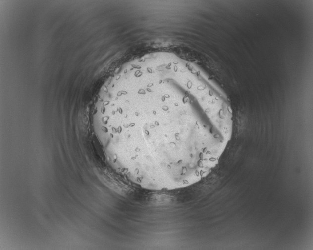 X0000076090376200610202115