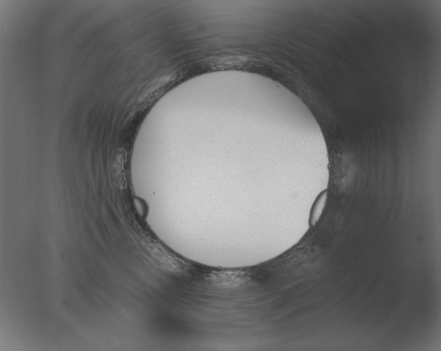 X0000076090378200610202115