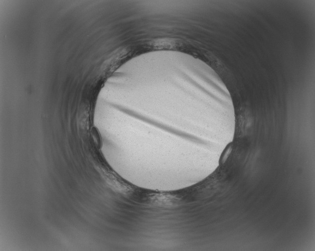 X0000076090379200610202115