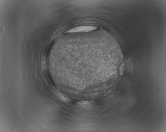 X0000076090381200610202115