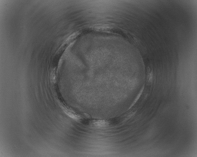 X0000076090383200610202115