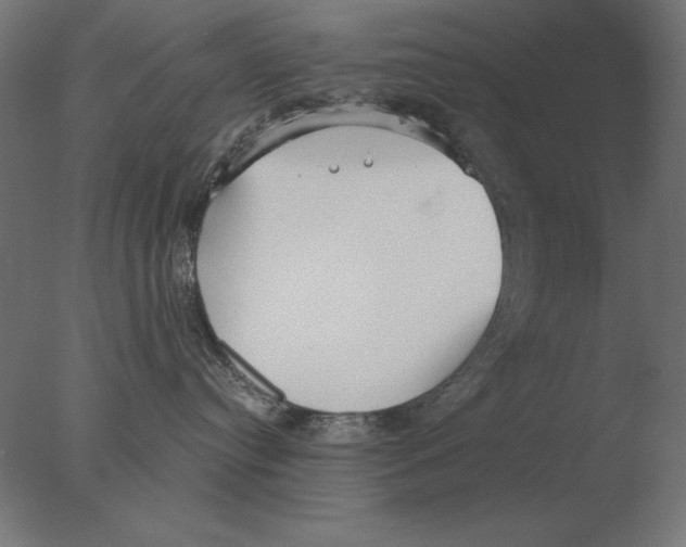 X0000076090384200610202115