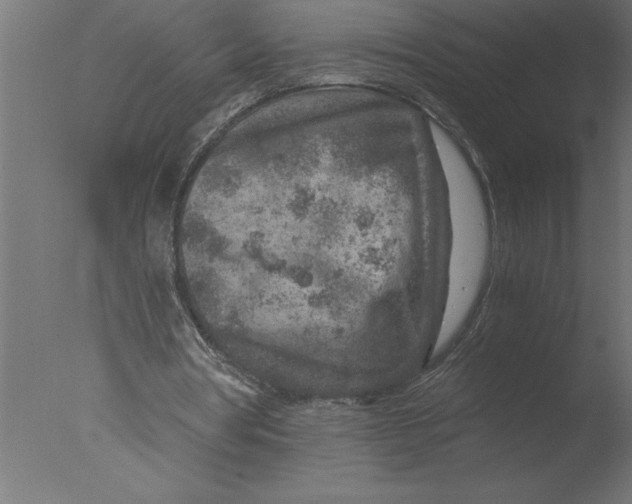 X0000076090386200610202114