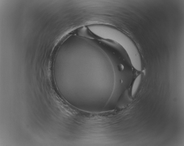 X0000076090387200610202114