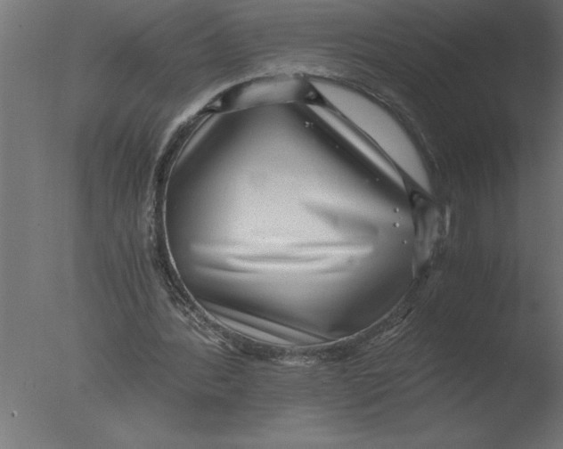 X0000076090388200610202114