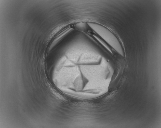 X0000076090389200610202114