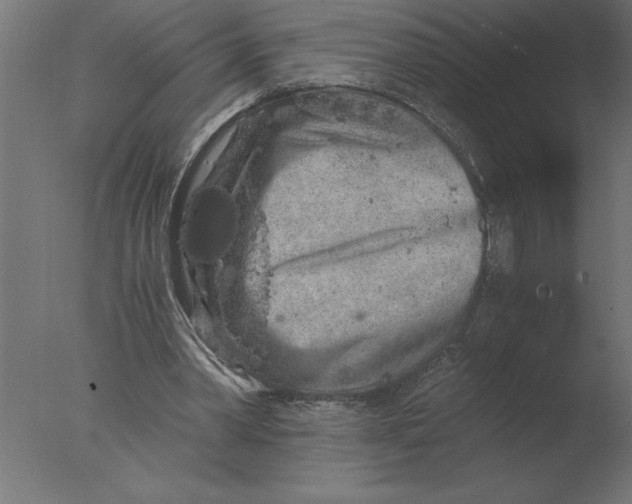 X0000076090390200610202114