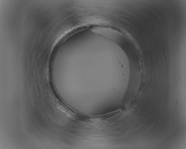 X0000076090391200610202114