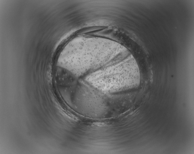 X0000076090392200610202114