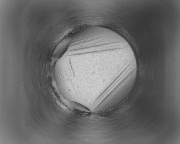 X0000076090393200610202114