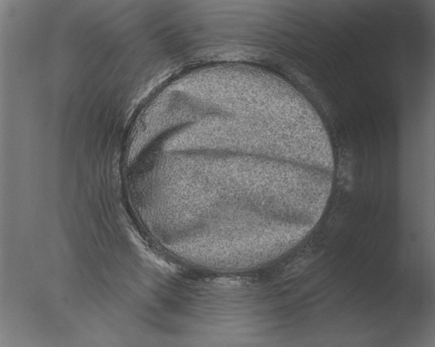 X0000076090394200610202114