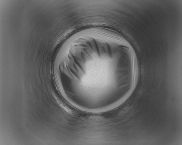 X0000076090397200610202114