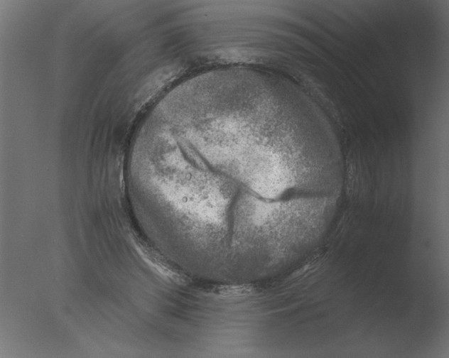 X0000076090398200610202114