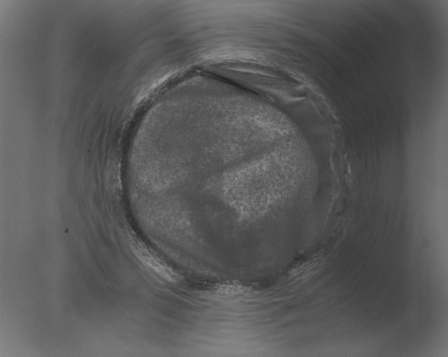 X0000076090399200610202114