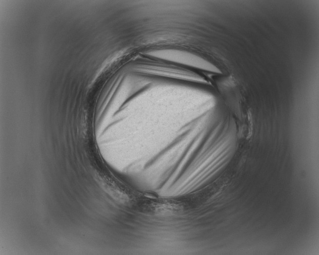 X0000076090400200610202114