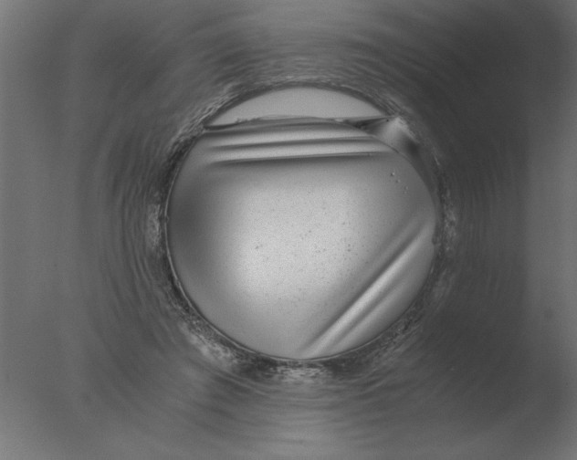 X0000076090401200610202114