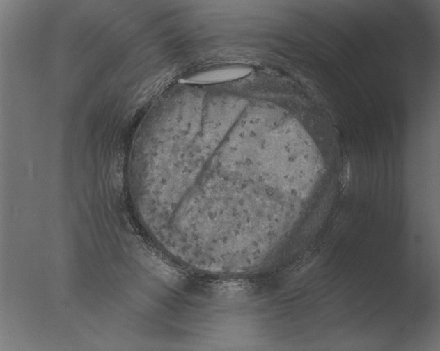 X0000076090402200610202114