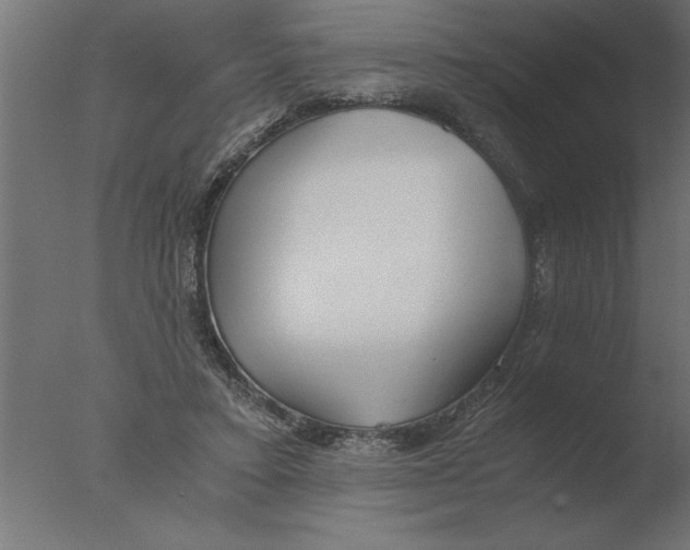 X0000076090403200610202114