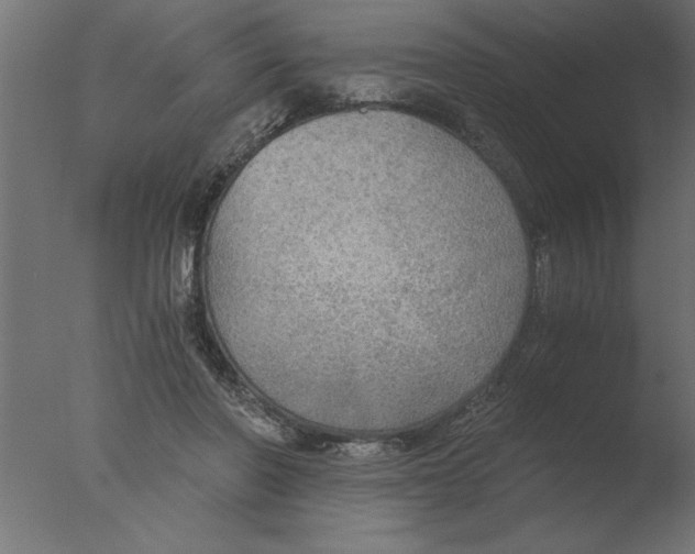 X0000076090406200610202114