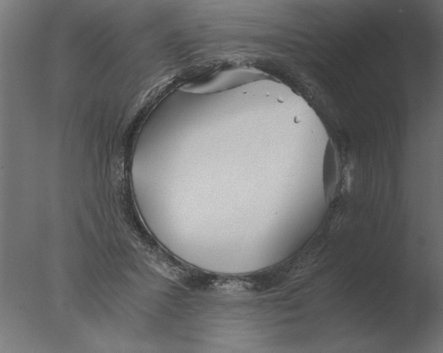 X0000076090407200610202114