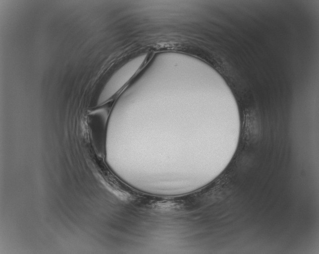 X0000076090408200610202114