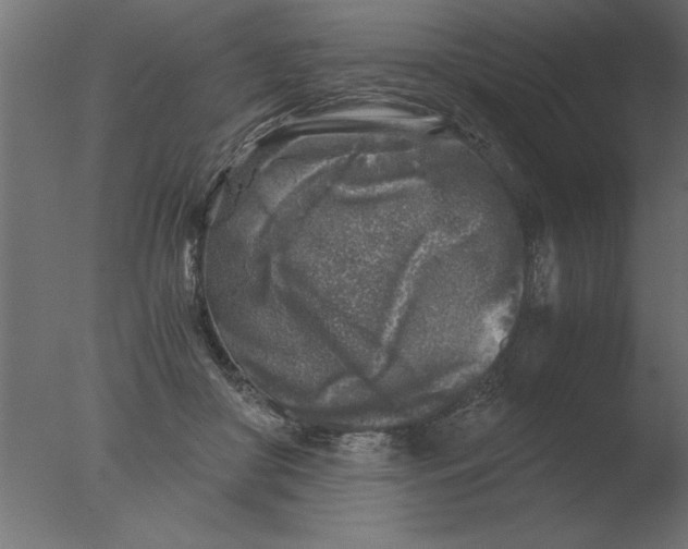 X0000076090410200610202114