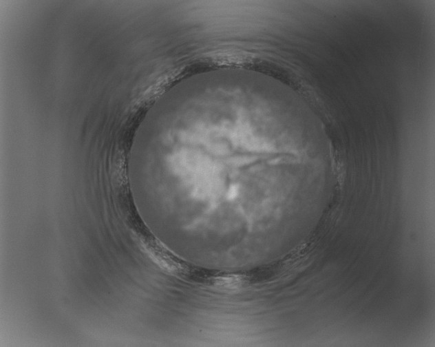 X0000076090411200610202114