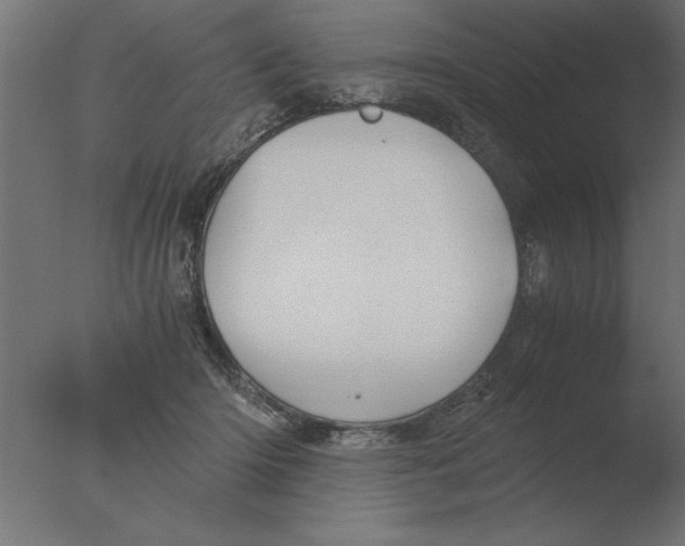 X0000076090414200610202114