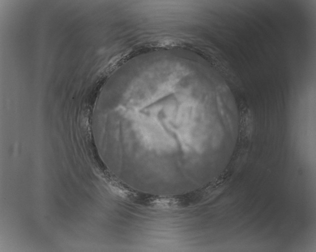 X0000076090415200610202114