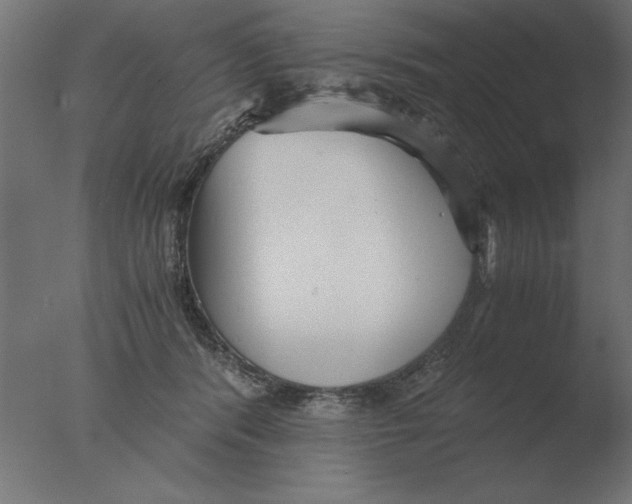 X0000076090416200610202114